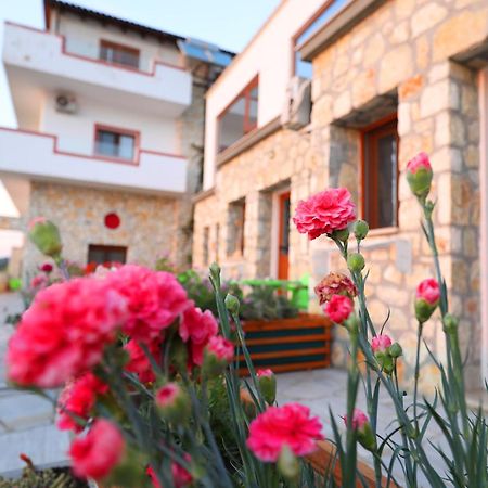 Vila Dena Vlora Kültér fotó