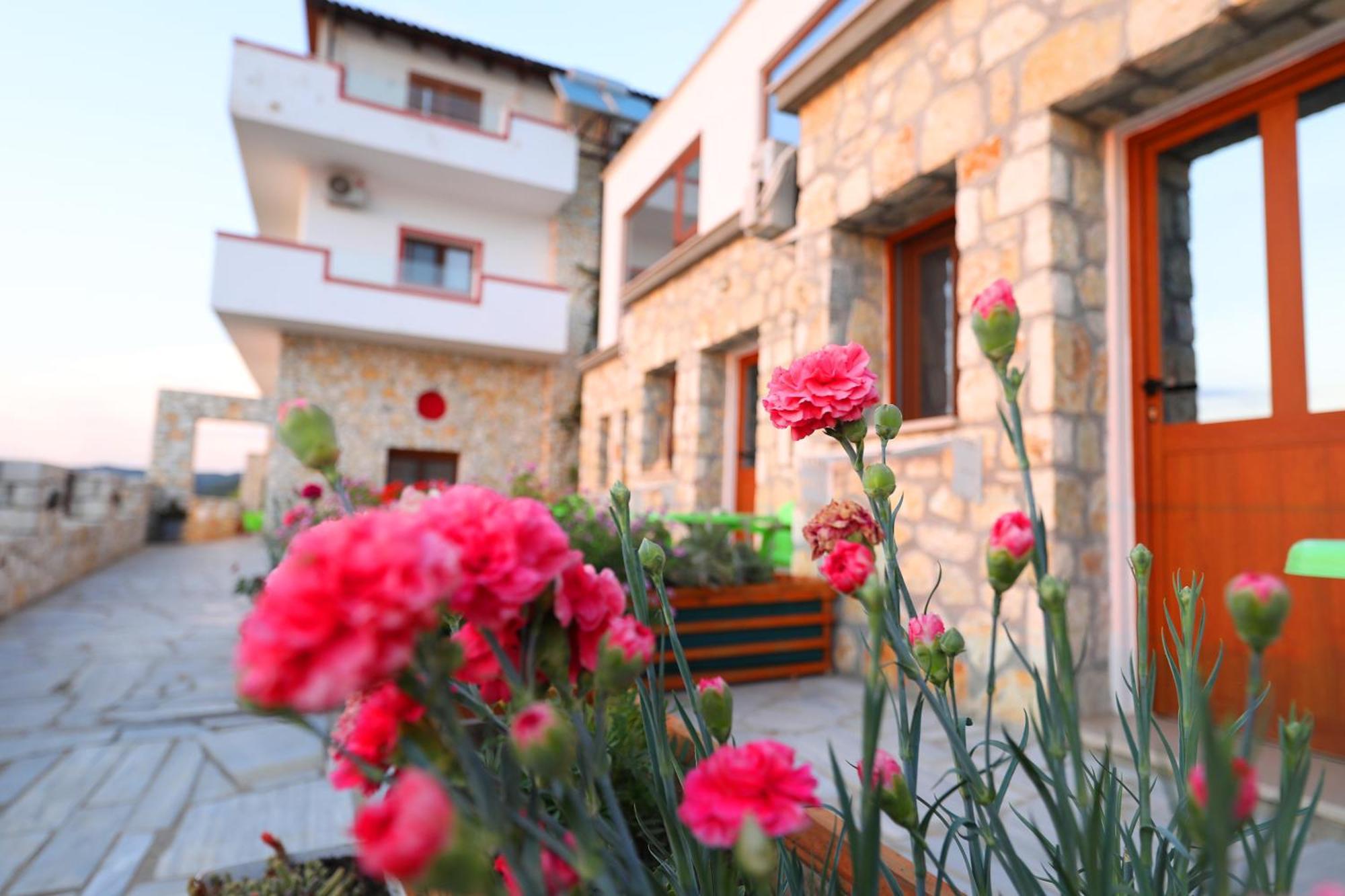 Vila Dena Vlora Kültér fotó